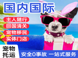 贵阳龙洞堡航空运输国际宠物托运 【国